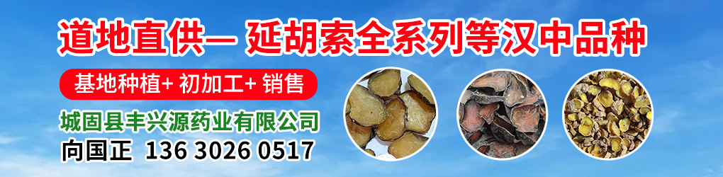 PC供求首页滚图-向国正