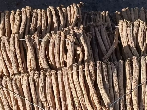 中药材