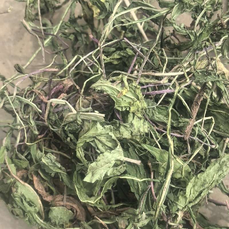 中药材