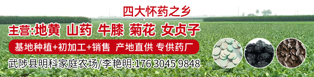 PC供求首页滚图-李艳明