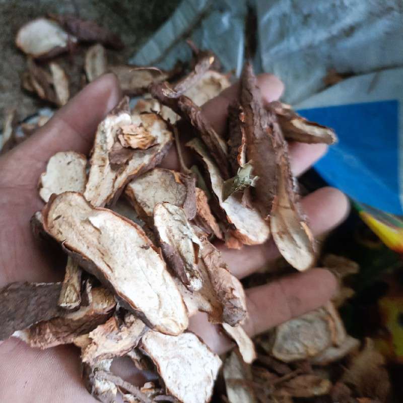 中药材