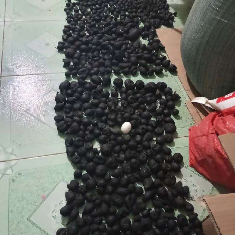 中药材