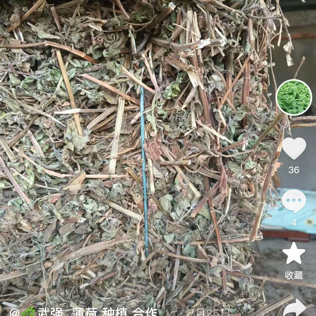 中药材