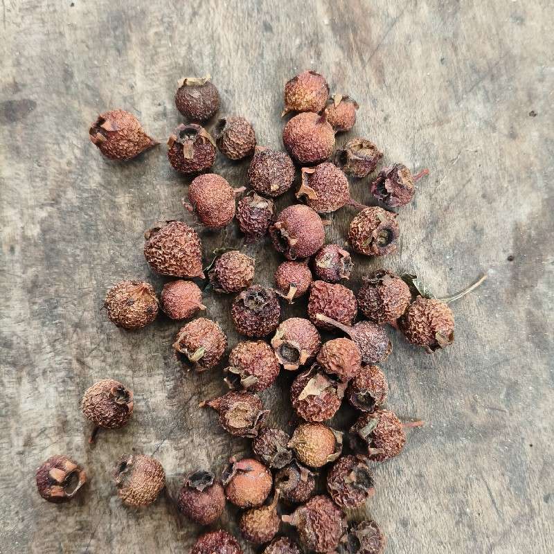 中药材