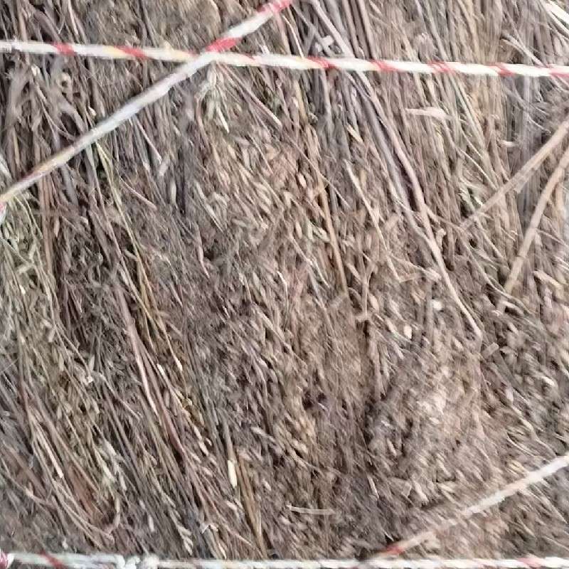 中药材
