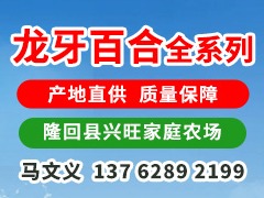 中药材