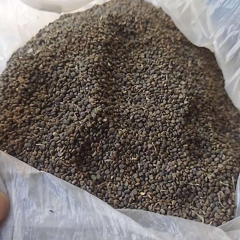 中药材