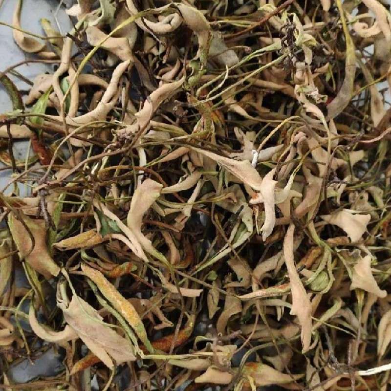 中药材