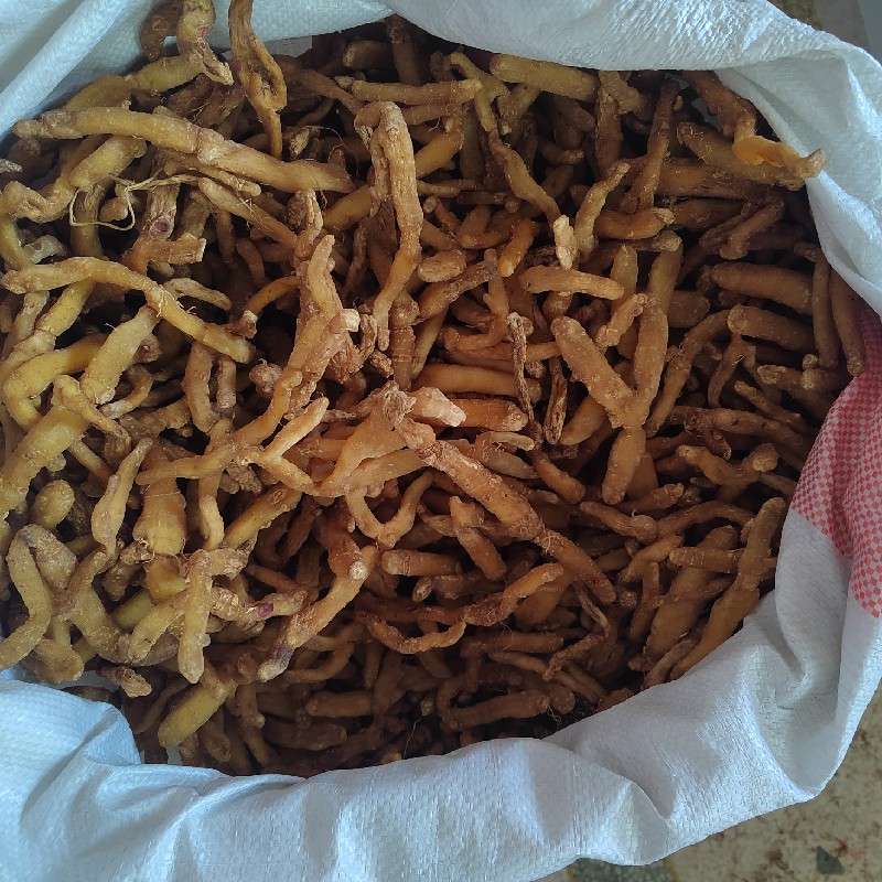 中药材