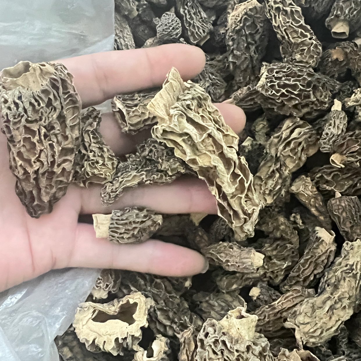 中药材