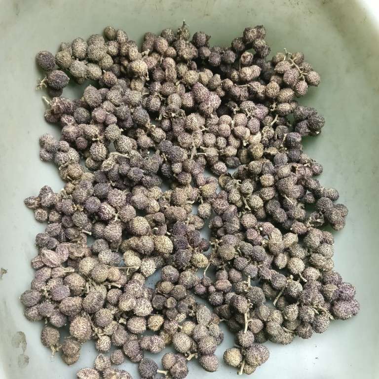 中药材