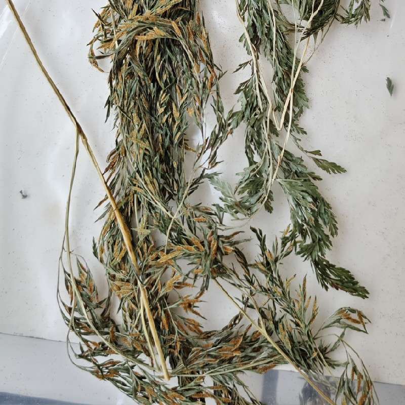 中药材