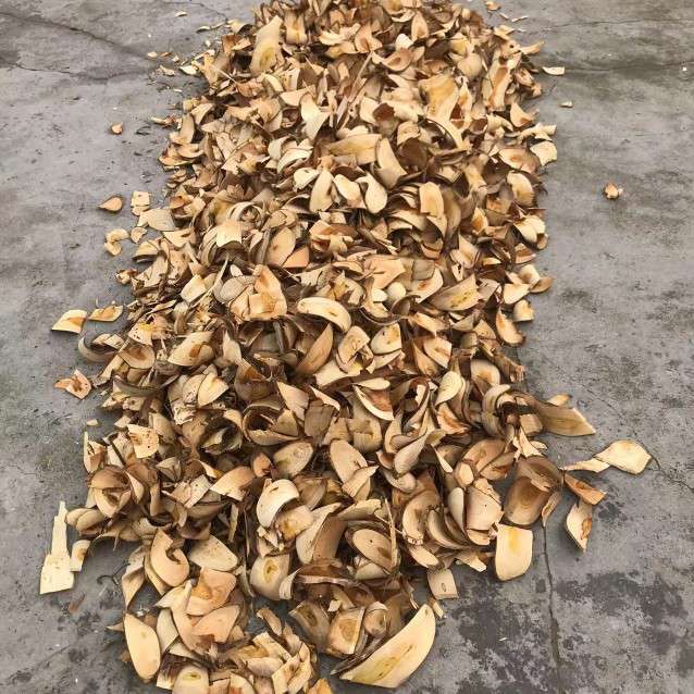 中药材