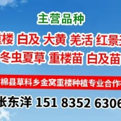 中药材