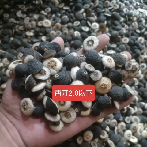 中药材