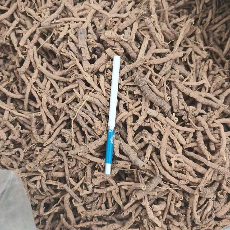中药材