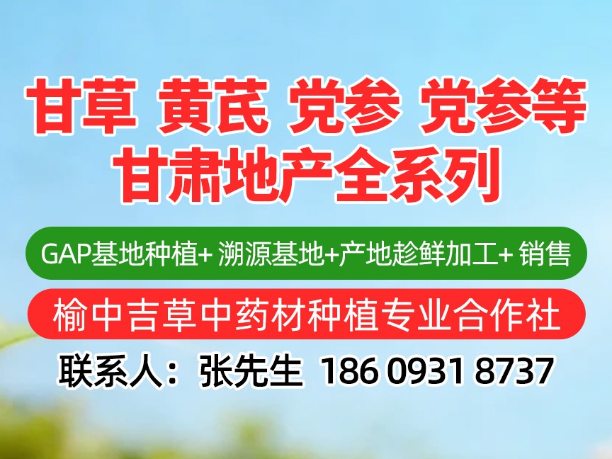 中药材