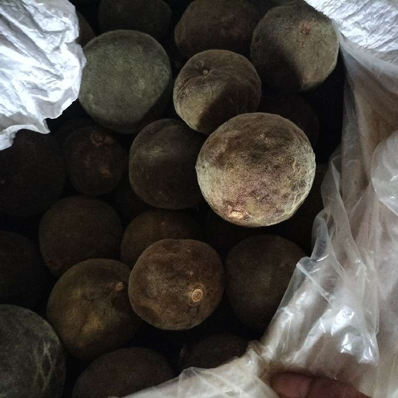 中药材