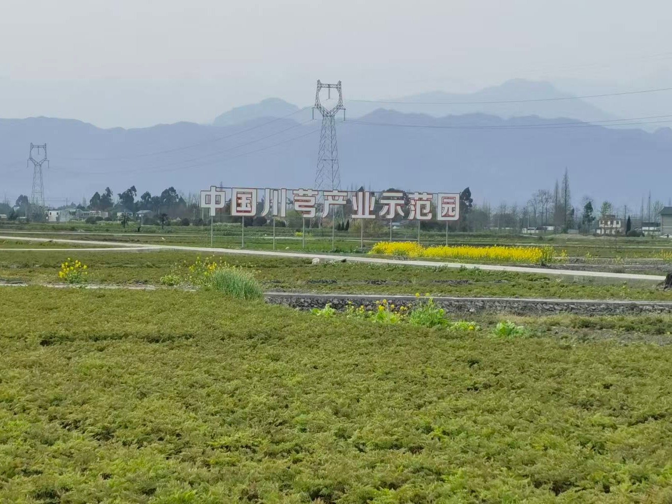 中药材