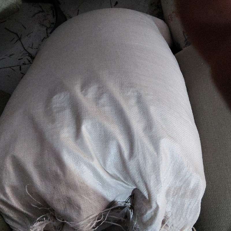 中药材