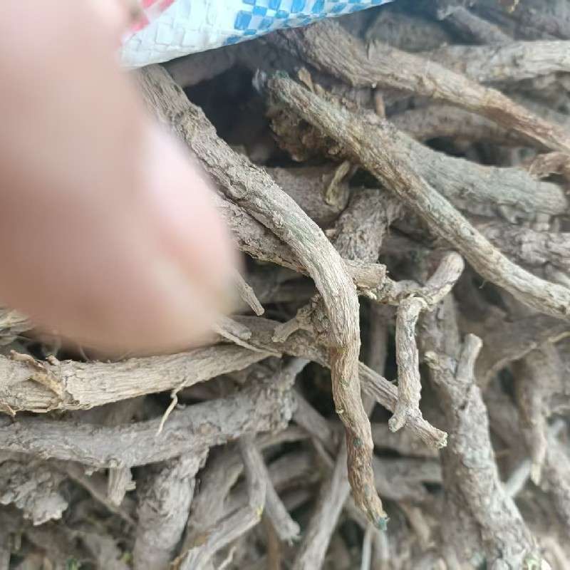 中药材