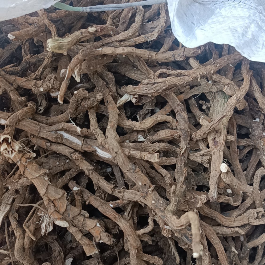 中药材