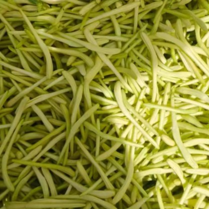 中药材