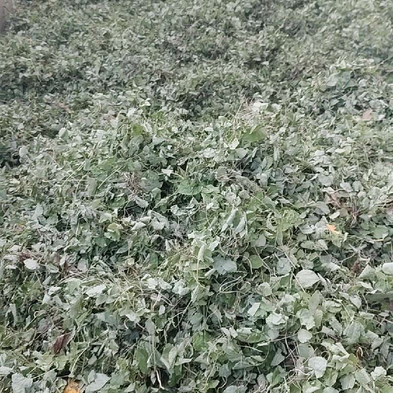 中药材
