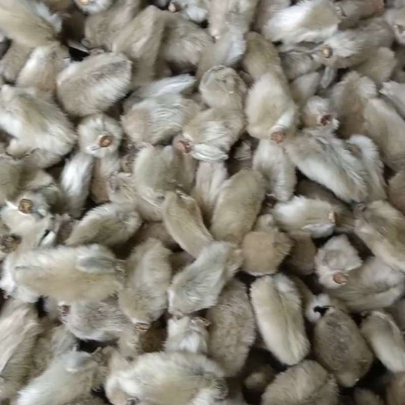 中药材