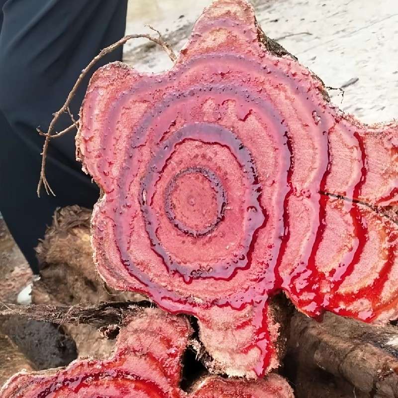 中药材