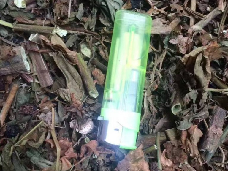 中药材
