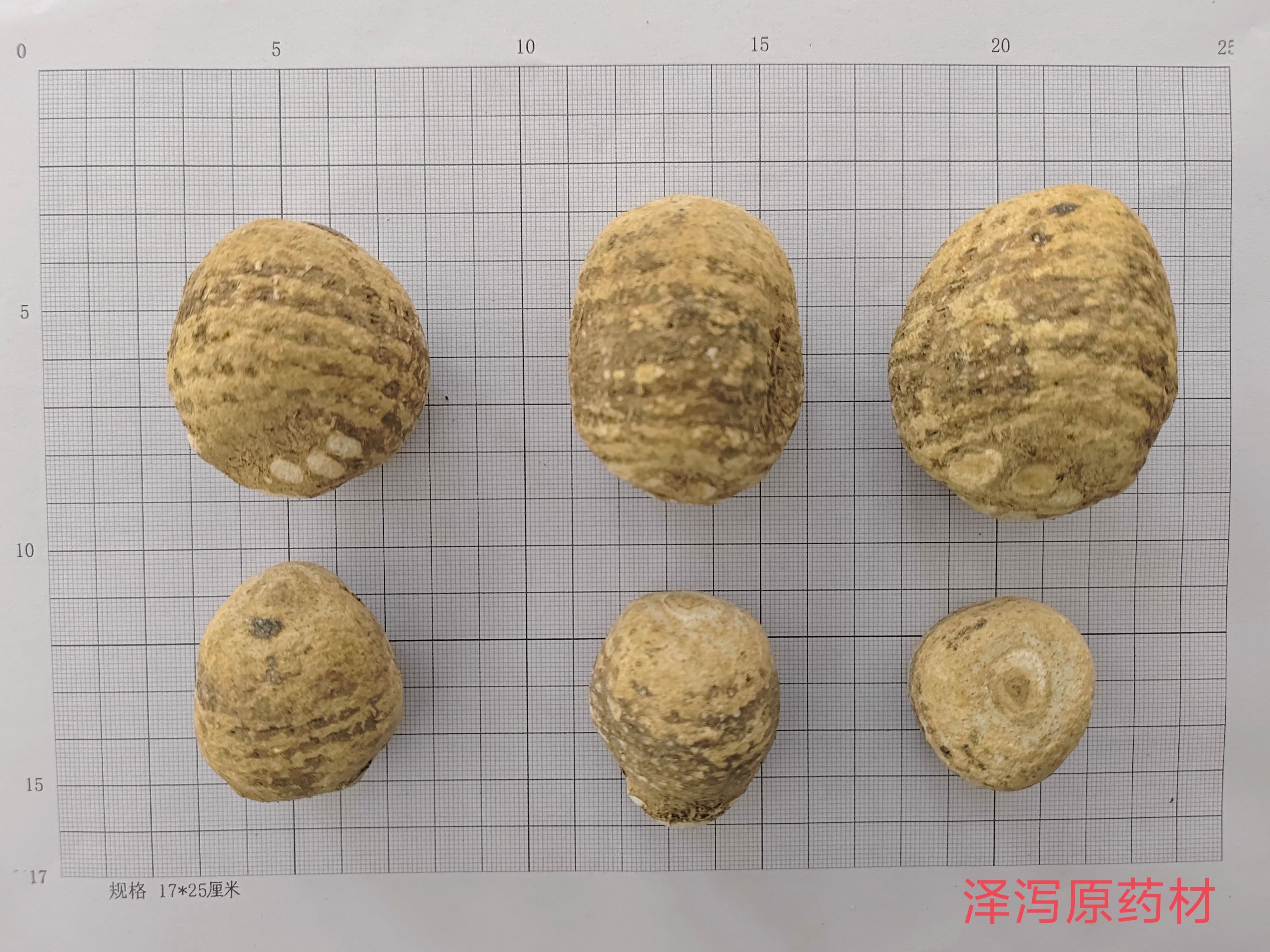 中药材