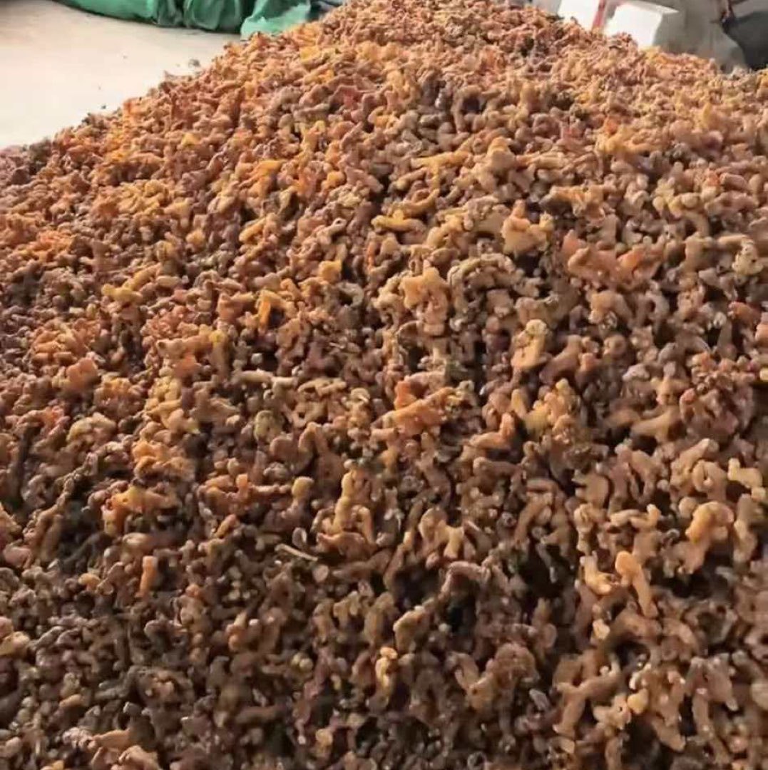 中药材