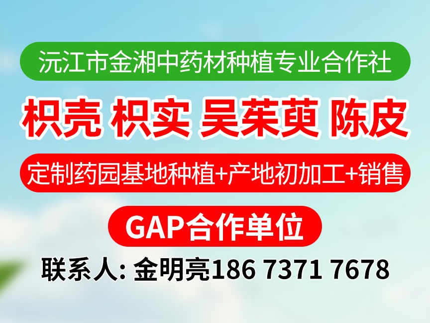 中药材