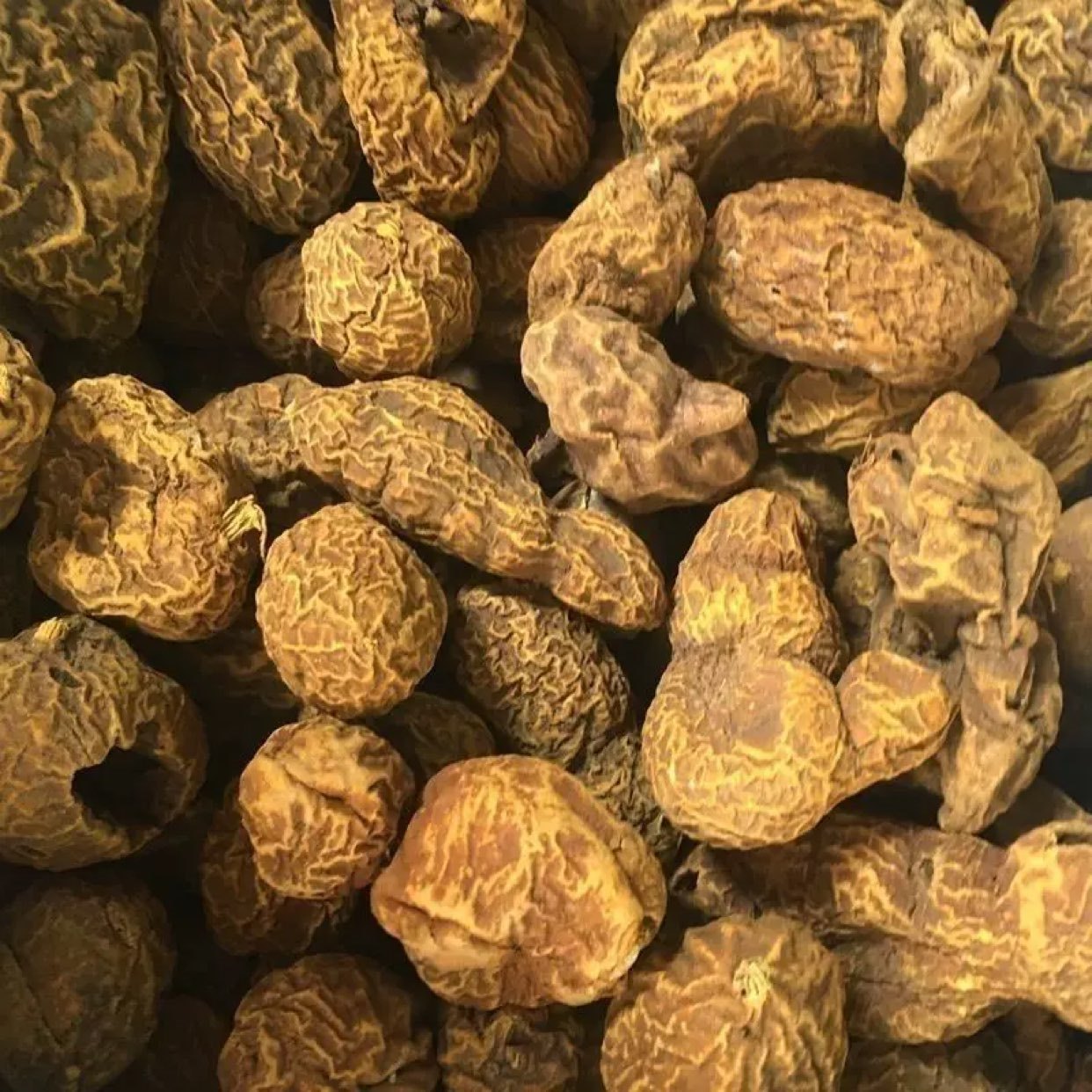 中药材