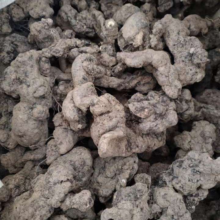 中药材