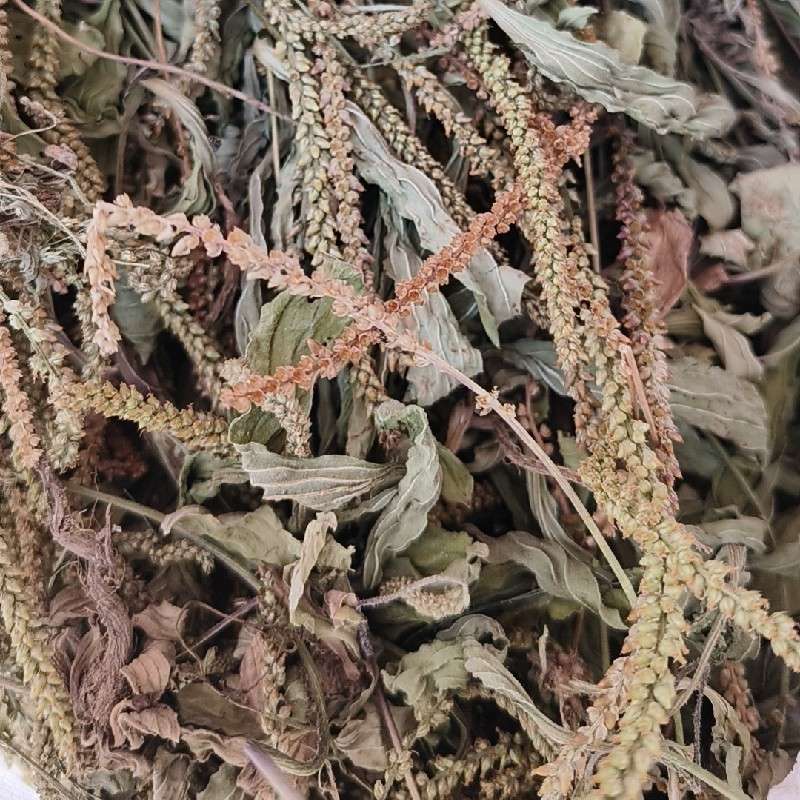 中药材
