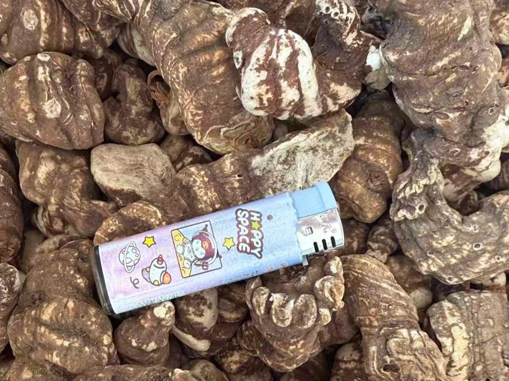 中药材