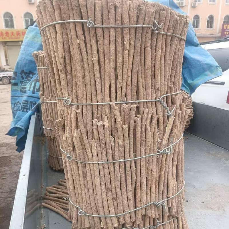 中药材