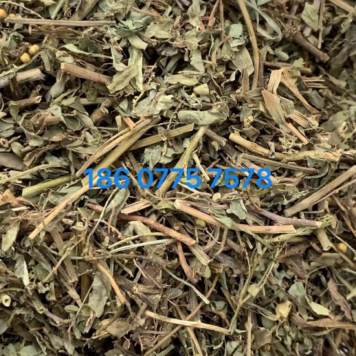 中药材