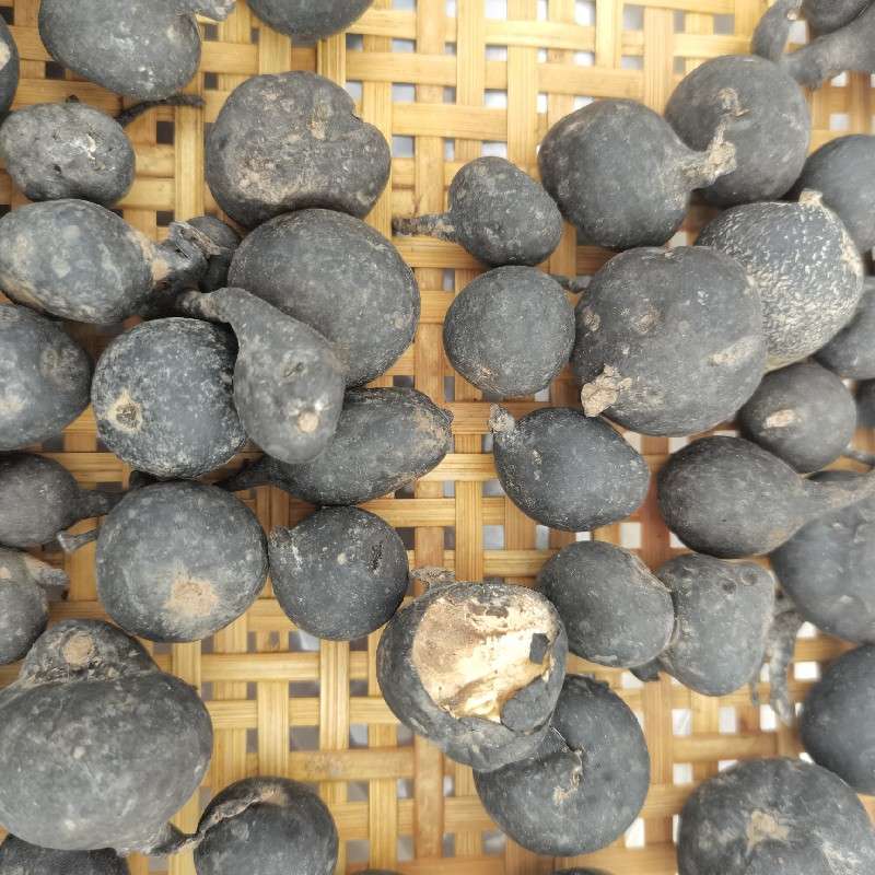 中药材