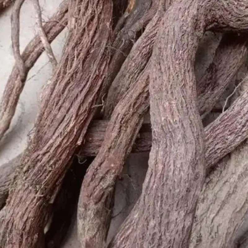 中药材