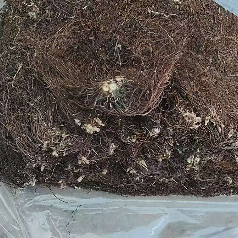 中药材