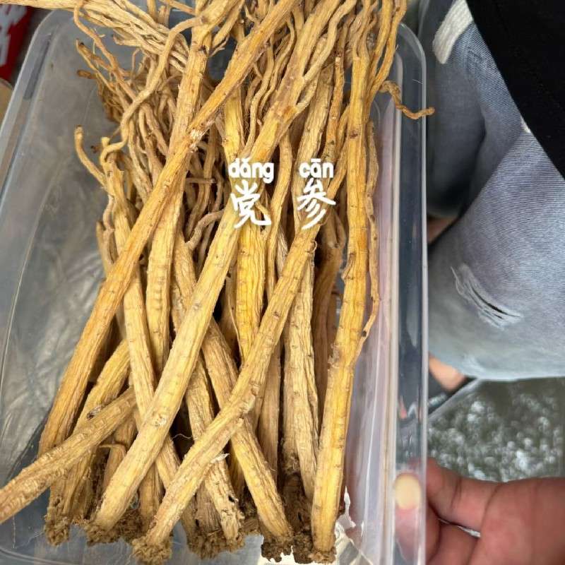 中药材