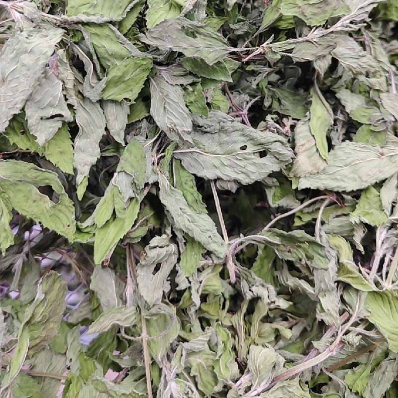 中药材
