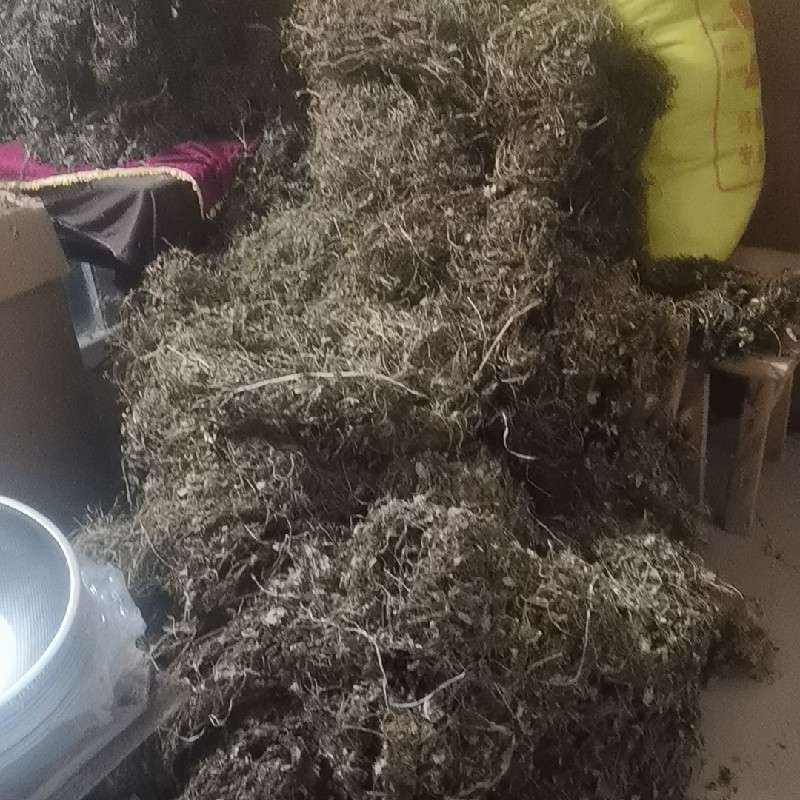 中药材