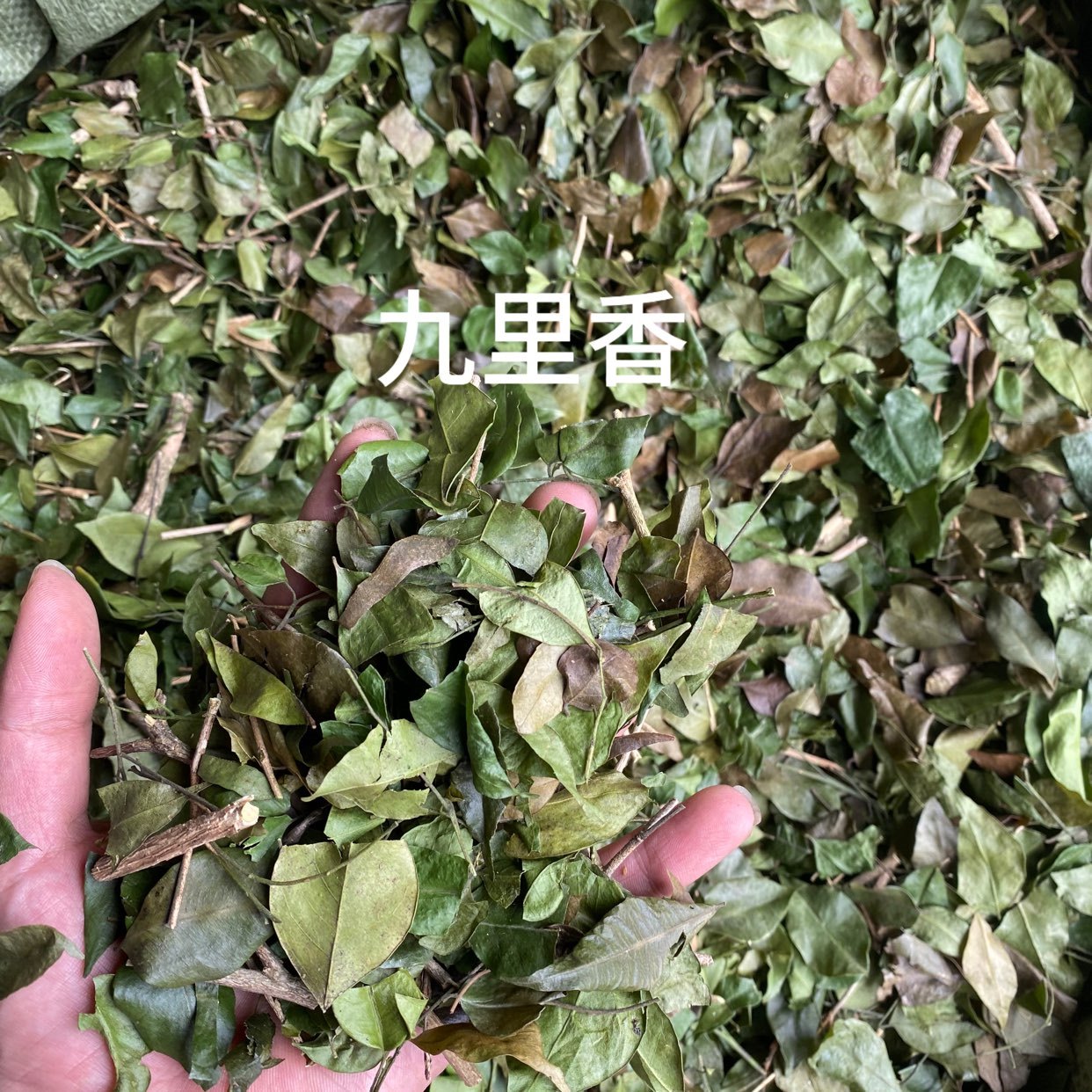 中药材