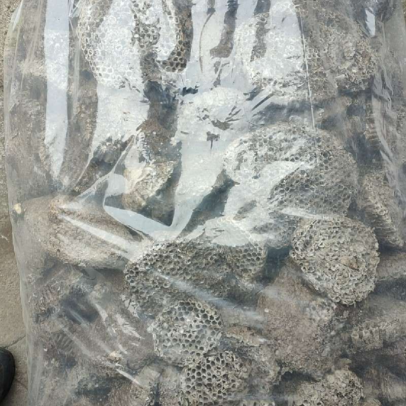 中药材
