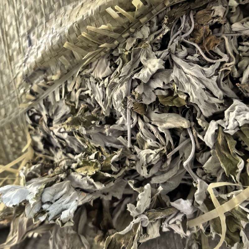 中药材