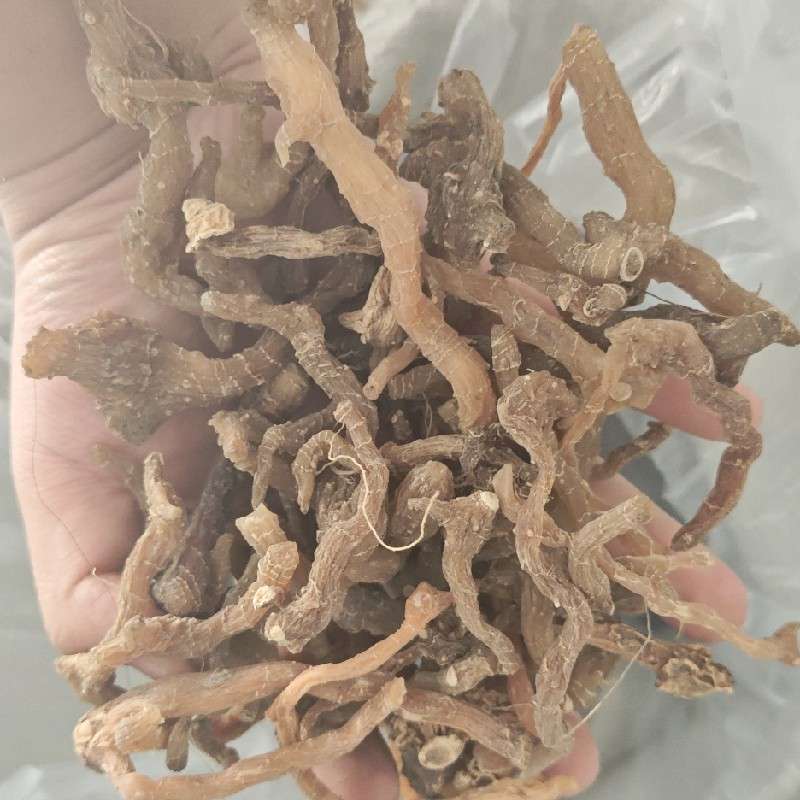 中药材
